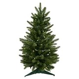 Vickerman – 2′ x 16″ Small Frasier Fir 50 Clear Lights Christmas Tree (A890725) 15896