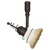 IMAGE OF Directional Fixture Head for Sea Gull Rail Systems