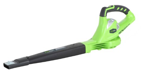 Greenworks 24282 G-MAX Sweeper - Tool Only