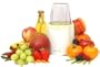 DEX Products Electric Baby Food Processor