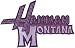 Disney Hannah Montana TV Movie - Purple Mesh Name Logo