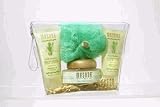 Masada 8745 Mini Scrub Kit Dry Skin