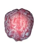 Life Size Realistic Brain Halloween