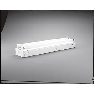 17W or 20W Flourescent Strip Light by Progress Lighting