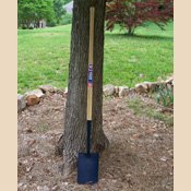 Stockton Heath Knob Handle Digging Spade
