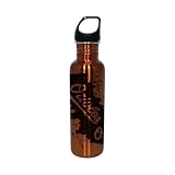 MLB Baltimore Orioles Stainless Steel Water Bottle
