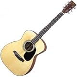 ARIA AF-280/N �A�R�[�X�e�B�b�N�M�^�[