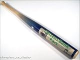 PHILADELPHIA PHILLIES STADIUM MINI BASEBALL BAT!