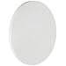 Porous Ceramic Disc, Pure White, 15 Bars Air Entry, 0.16 Micron Pore Size