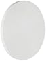 Porous Ceramic Disc, Pure White, 15 Bars Air Entry, 0.16 Micron Pore Size, 5/8" OD, 0.281" Thick (Pack of 1)