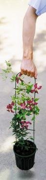 TRELLIS LOC N BLOEM 1 GALLON 5.5IN X 24IN