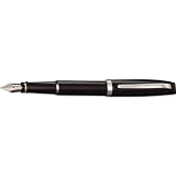 Aurora Style Resin Black Pepper Medium Point Fountain Pen - AU-E12N