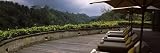 Lounge Chairs and Umbrellas in a Resort, Ubud Hanging Gardens, Ayung Valley, Ubud, Bali, Indonesia Travel Photographic Poster Print by Panoramic Images , 8x24