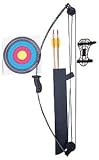 Arrow Precision Puma 15-Pounds Compound Youth Archery Set