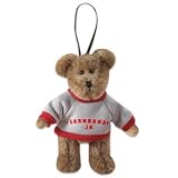 Dale Earnhardt Jr Boyd's Bear Christmas Ornament