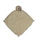 Angel Dear LION Blankie