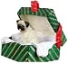 Pug Fawn Pugs Dogs Unique Gift Box Christmas Ornament New Gift