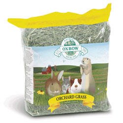 Oxbow Orchard Grass Hay