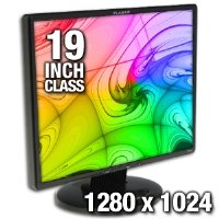Planar PL1900 19-Inch Analog LCD Monitor (Black)