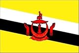 3 x 5 Feet Brunei Darussalam Poly - indoor International Flag Made in US.