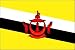 3 x 5 Feet Brunei Darussalam Poly - indoor International Flag Made in US.