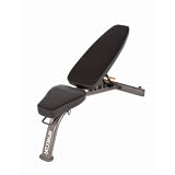 Precor Adjustable Multi-Angle Bench by