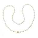 14k Yellow Gold Saltwater Cultured Akoya Pearl AA Grade 7-7.5mm Necklace, 24"