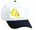 White Cap with sea, scientific, fish, aquarium