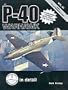 P-40 Warhawk in detail & scale, Part 1: Y1P-36 through P-40C - D&S Vol. 61