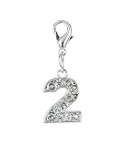 Steel Charm Number by Charming Charms