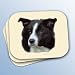 Border Collie Mouse Pad