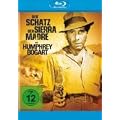 Der Schatz der Sierra Madre [Blu-ray]