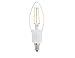 DC 12 Volt E12 Warm White 2700K 2 Watt LED Filament Light Bulb Mini Screw Base Lamp Low Voltage Desk Top Outdoor Outside Landscape Machine Room Chandelier Pendant Night Lighting