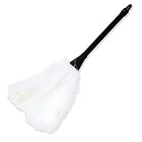 Feather Duster Adult