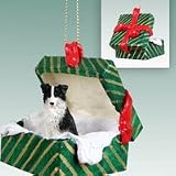 BORDER COLLIE Dogs Unique Gift Box CHRISTMAS ORNAMENT New