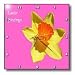 Daffodil - daffodilflowers, jonquils, daffodils, narcissus, saint david day, spring, narcissi - 10x10 Wall Clock