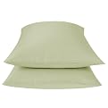 Home Organic Pillowcase Set - Green Bug