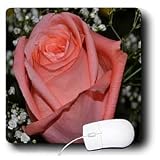 WhiteOak Photography Floral Prints - A Coral Rose Orange Pink Rose - Mouse Pads