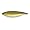 Natural Golden Shiner