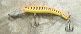 Jlvlures JLV Lures Raptor Minnow Freshwater Diver Yellow Tiger : Walleye Sauger Pike Bass Steelhead Crankbait Deep Troll Tantalizing Curve Body Wobble Kicking Rattle Rattling Trolling Casting Cast Treble Bronze Hook Darting Structure Fishing Gravel Bottom Rock Stump