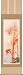 �Ľ˳ݼ�����¼�������ʻ��������˺�ؼ��ݤ������