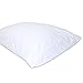Luxury Waterproof Tencel Fiber Pillow Protector Size: Queen