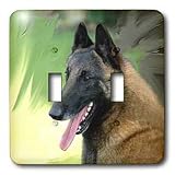 Dogs Belgian Malinois - Belgian Malinois Portrait - Light Switch Covers - double toggle switch