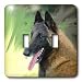 Dogs Belgian Malinois - Belgian Malinois Portrait - Light Switch Covers - double toggle switch