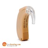 Behind the Ear 2-channel Digital Hearing Aids ZIV 205