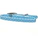 Li'l Pals Lt. Blue w/ Polka Dots Satin Vinyl Dog Collar,  5/16 in.