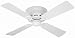 Tools & Hardware : Hunter 23866 Lowprofile III 42-Inch White Ceiling Fan with 4 White Plastic Blades
