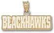 Chicago "Blackhawks" Charm/Pendant