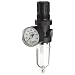 Dixon B07-202MG Norgren Series Manual Drain Miniature Filter/Regulator with Transparent Bowl, 21 SCFM, 1/4" Port Size, 150 PSI