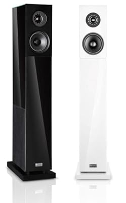 Audio Physic (オーディオフィジック) ドイツ製ガラスキャビネットスピーカー Classic 20 (光沢ガラスブラック)